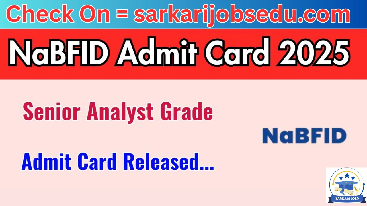 NaBFID Analyst Admit Card 2025